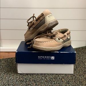 NIB Sperry Topsider Bluefish